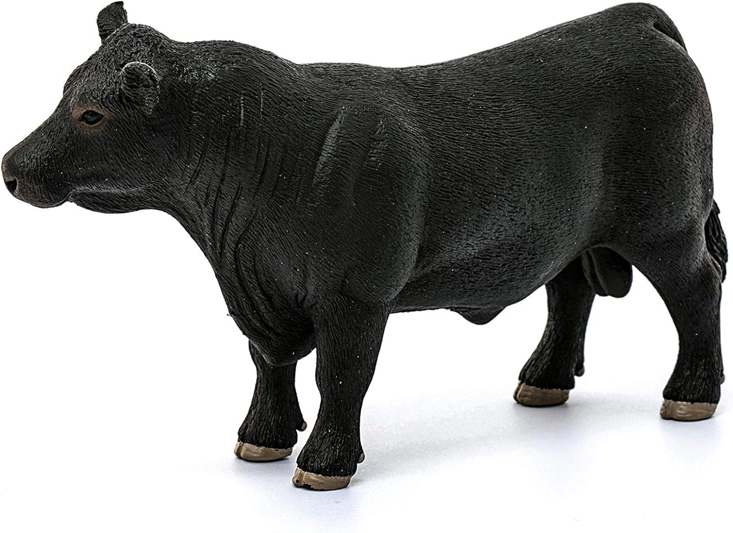 SLH krowa Aberdeen Angus 13879 29271
