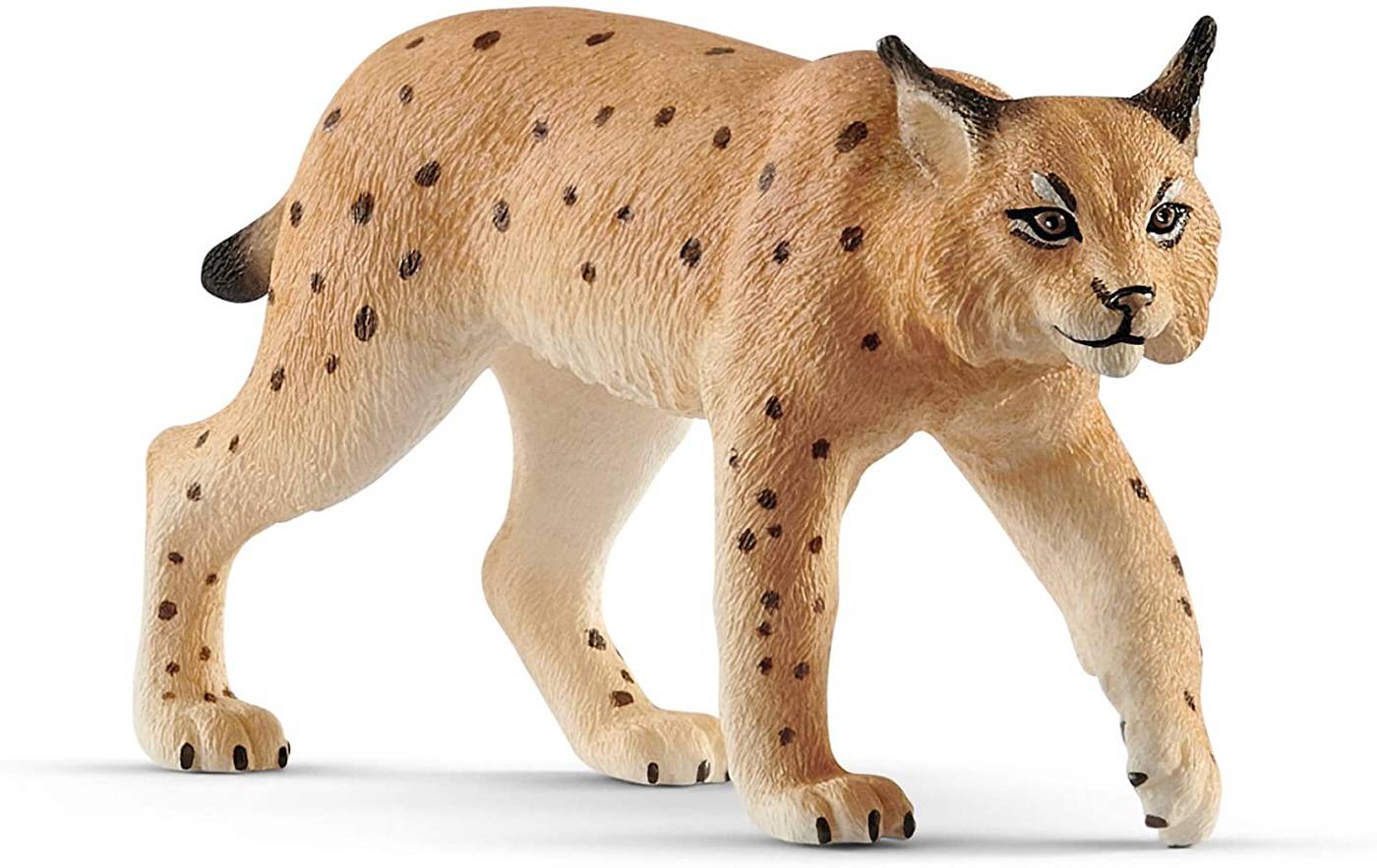 Ryś