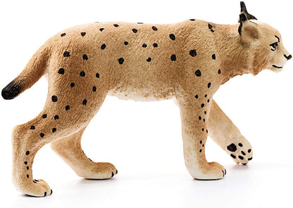 Ryś