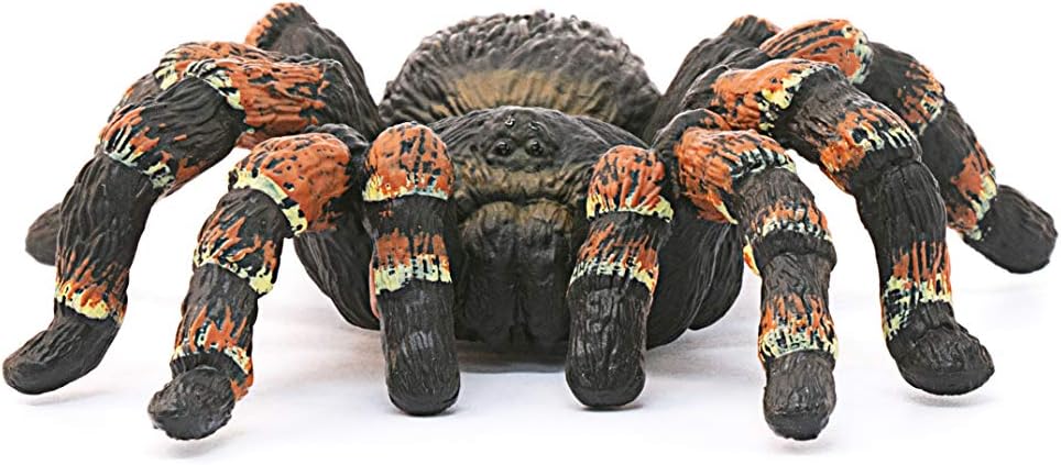 SLH tarantula 14829 25360