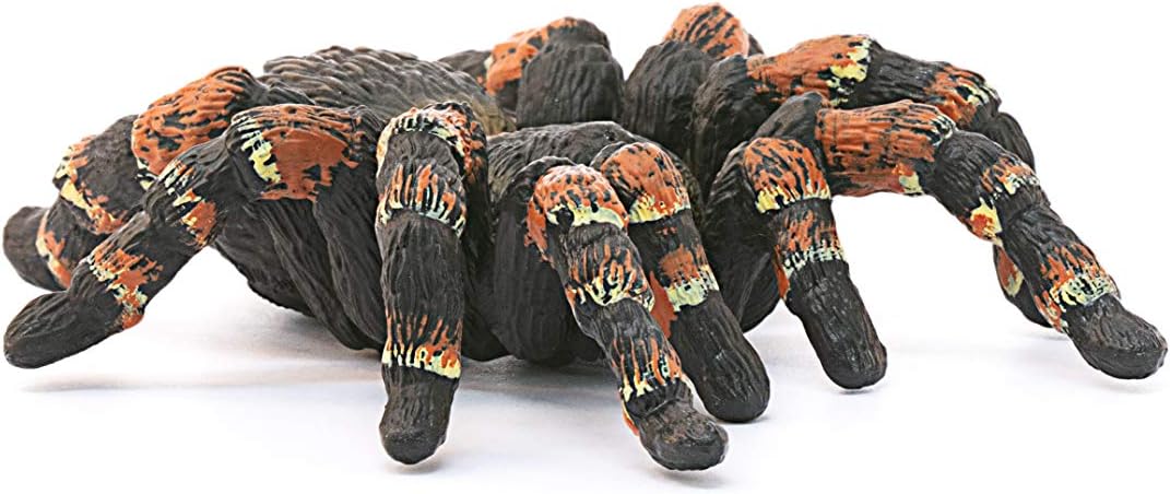 SLH tarantula 14829 25360