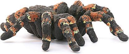 SLH tarantula 14829 25360