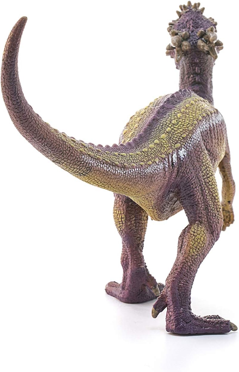 Dinosaurs dinozaur dracorex