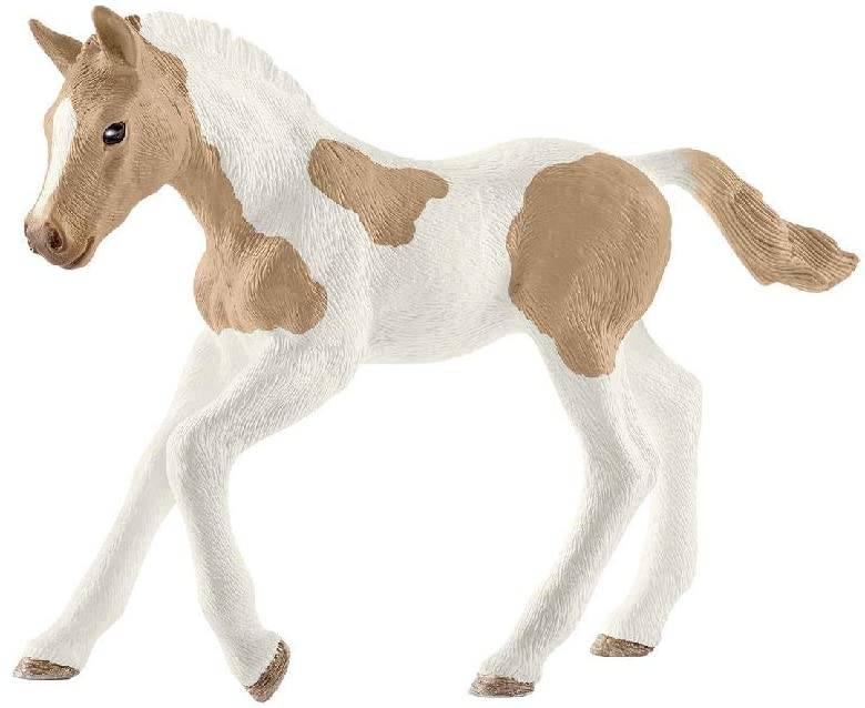 SLH koń Paint Horse źrebię 13886 25650
