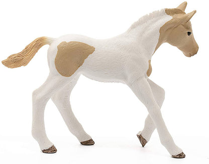 SLH koń Paint Horse źrebię 13886 25650
