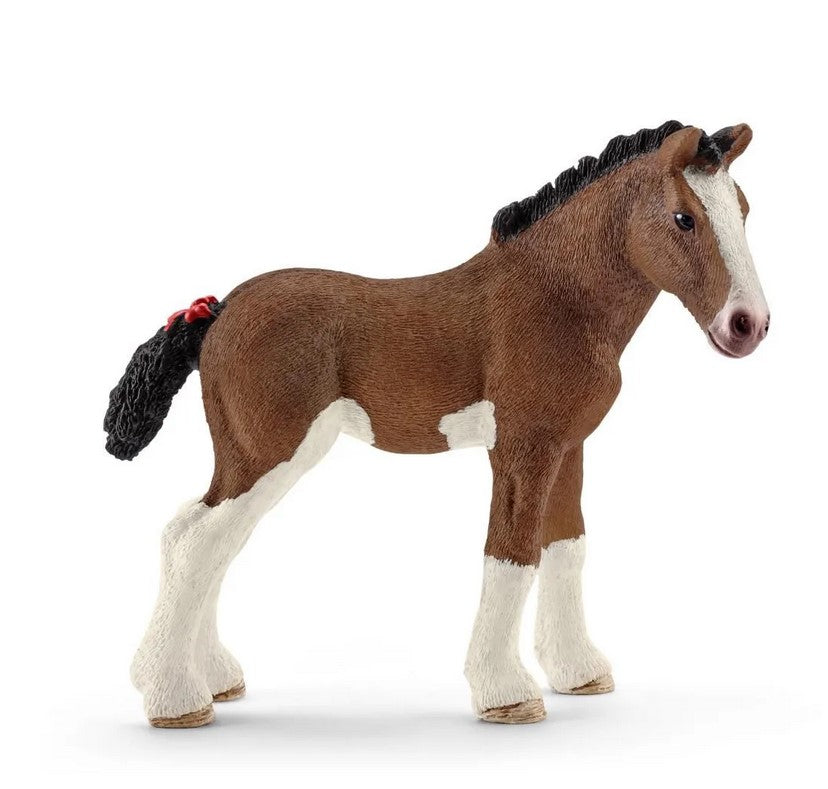 SLH źrebię rasy Clydesdale 13810 22483
