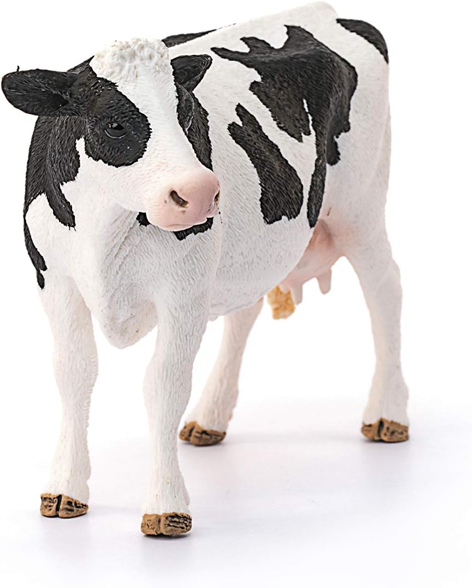 SLH krowa rasy Holstein 13797 28850