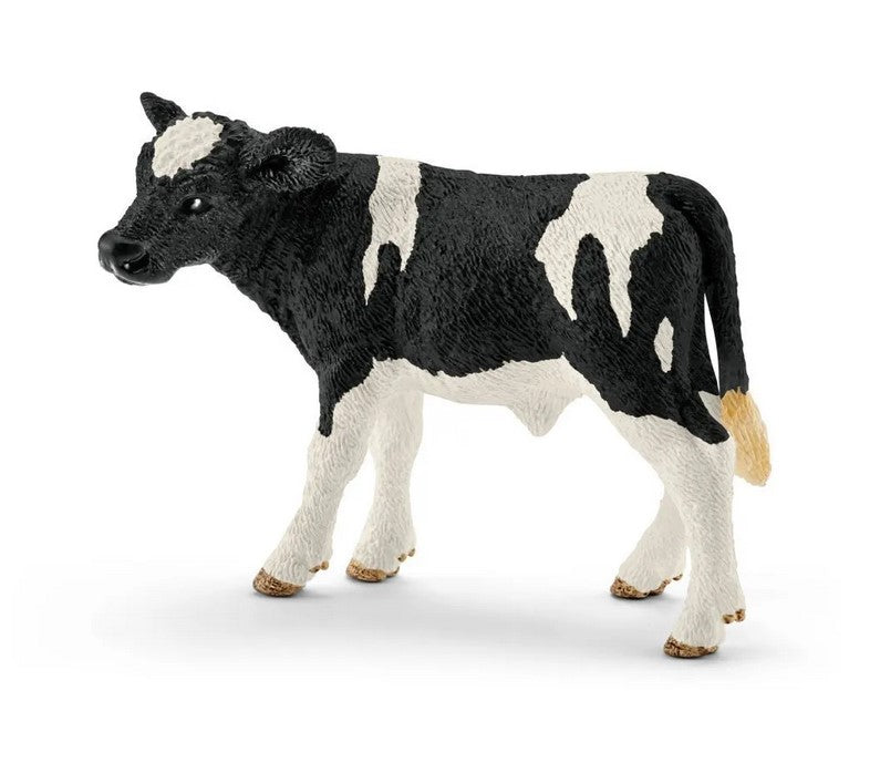 SLH cielę rasy Holstein 13798 29529