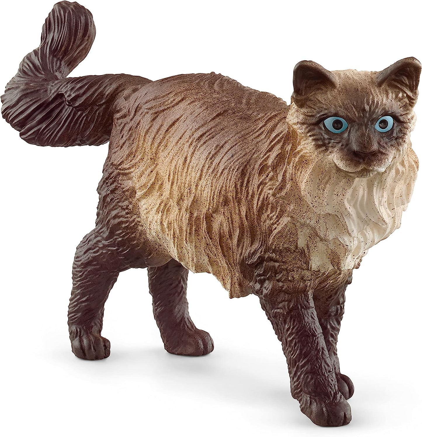 SLH kot Ragdoll 13940 63226