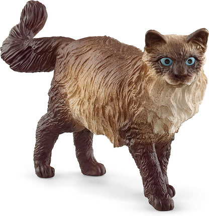 SLH kot Ragdoll 13940 63226
