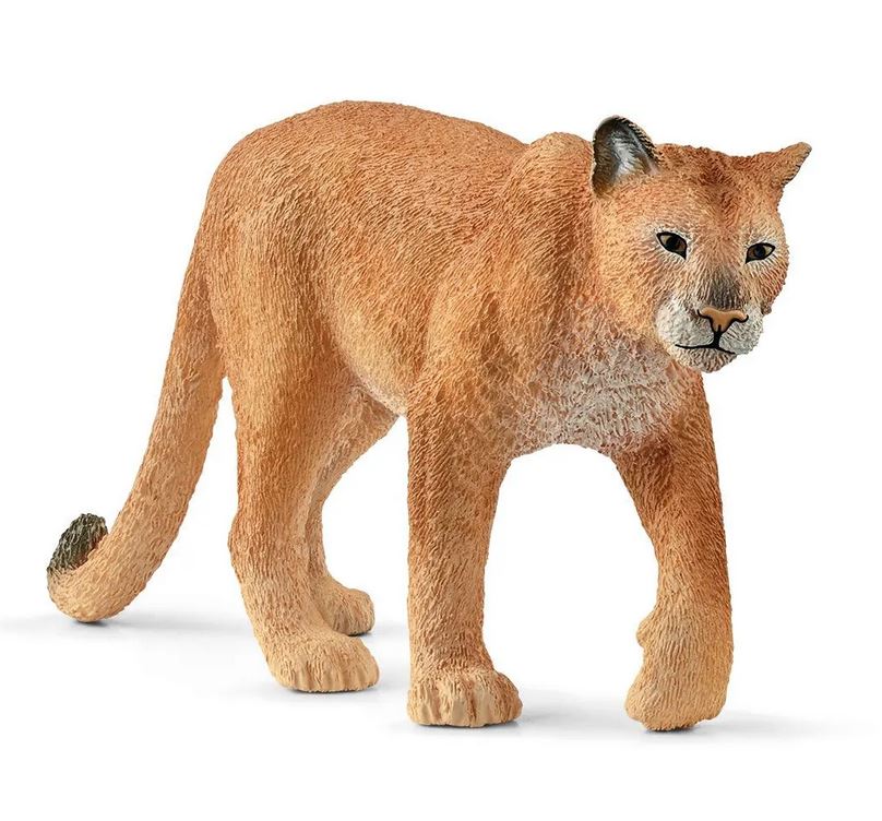 Puma