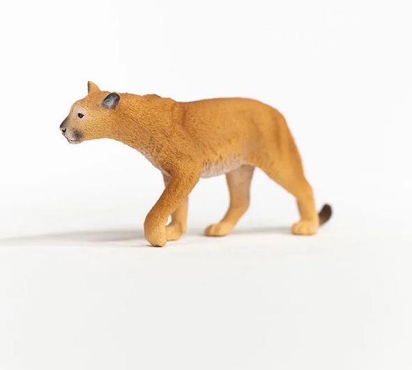 Puma