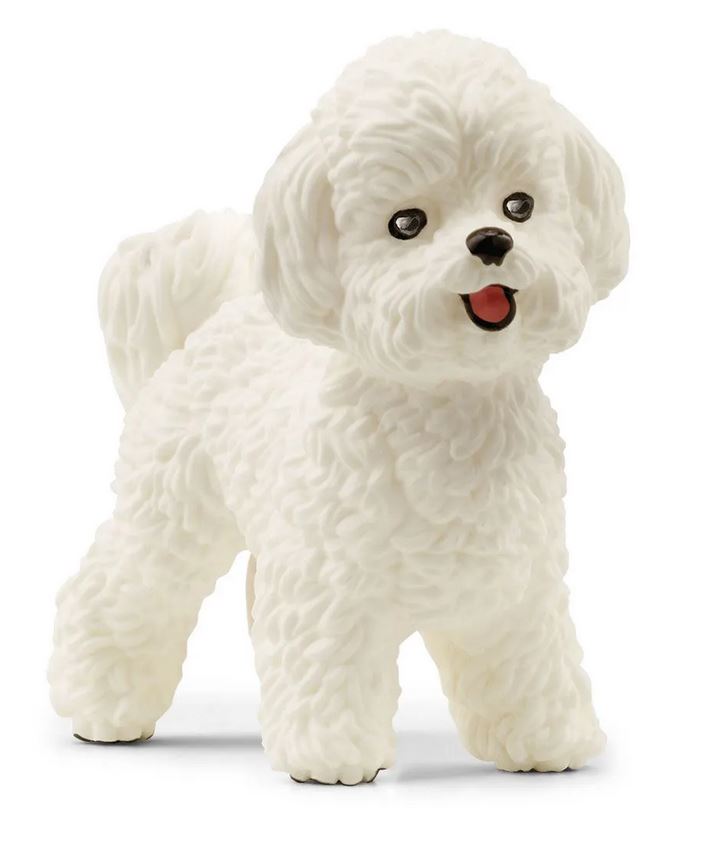 SLH pies Bichon Frise 13963 27611