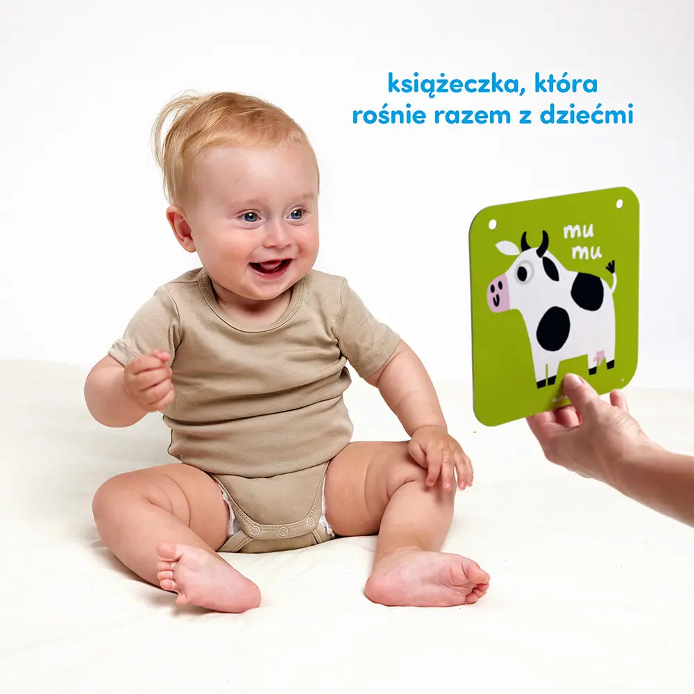 CzuCzu Duże karty kontrastowe dla dzieci w wieku 6-9 mies.+