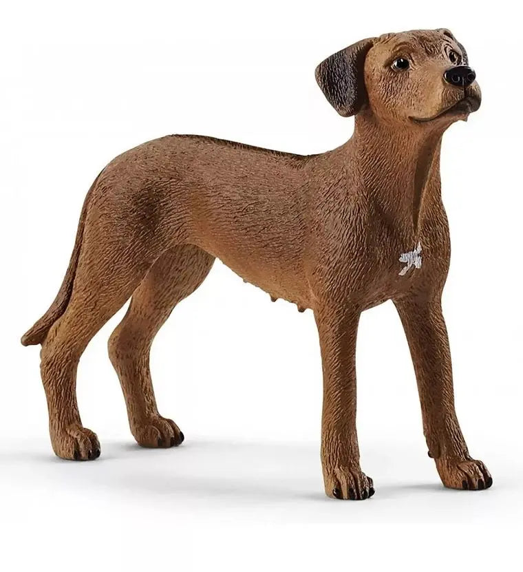 Schleich Rhodesian Ridgeback