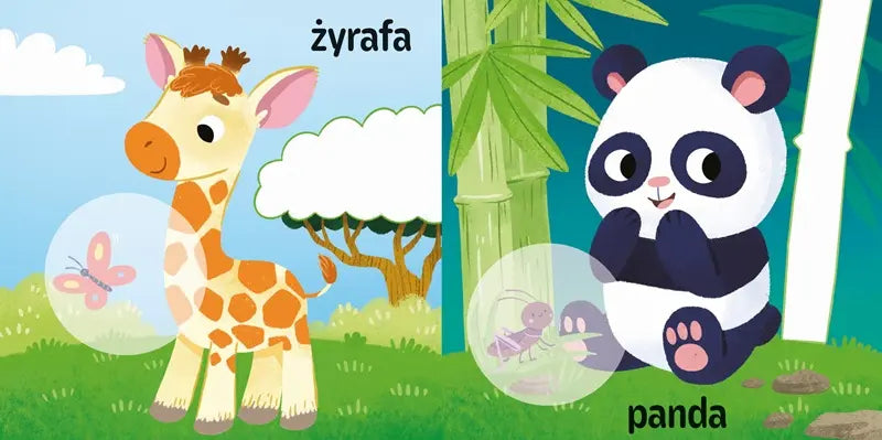 Książeczka - Naklejanki maluszka. W zoo