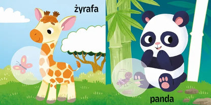 Książeczka - Naklejanki maluszka. W zoo