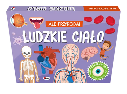 Ale przyroda ludzkie ciało 15482