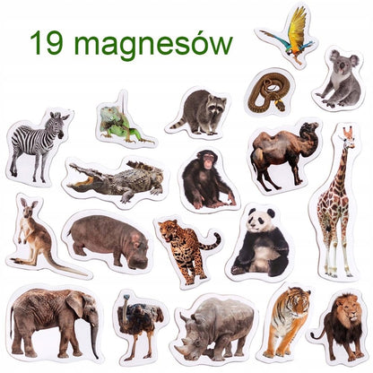 Zestaw magnesów ZOO MV6032-02 MV6032-02