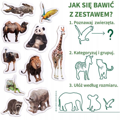 Zestaw magnesów ZOO MV6032-02 MV6032-02