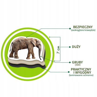 Zestaw magnesów ZOO MV6032-02 MV6032-02