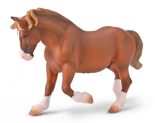 Collecta ogier bretoński maść kaszt. 80008