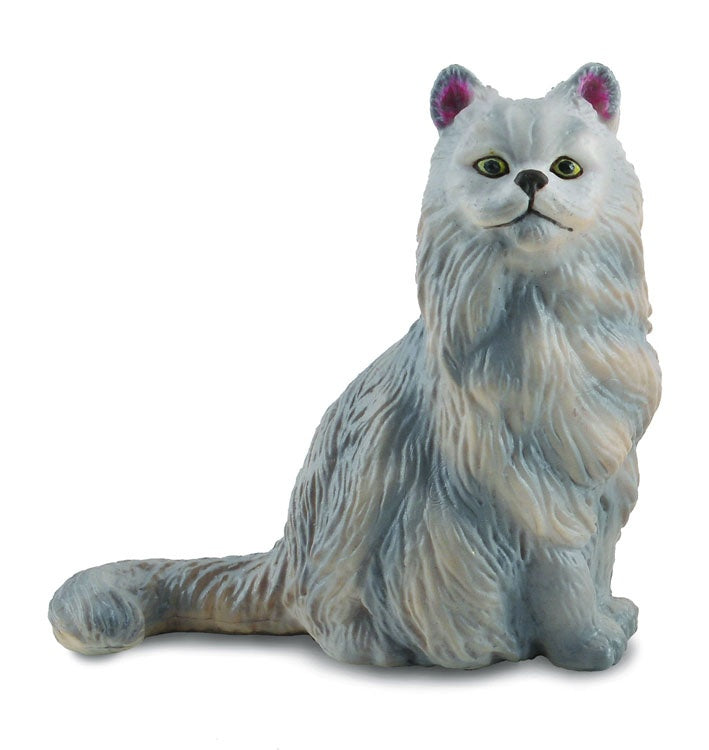 Collecta kot perski siedzą 88329 83298