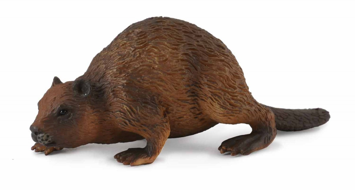 Collecta bóbr 88382 83823