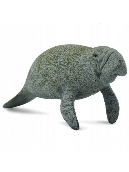 Collecta słoń morski 88455 84554