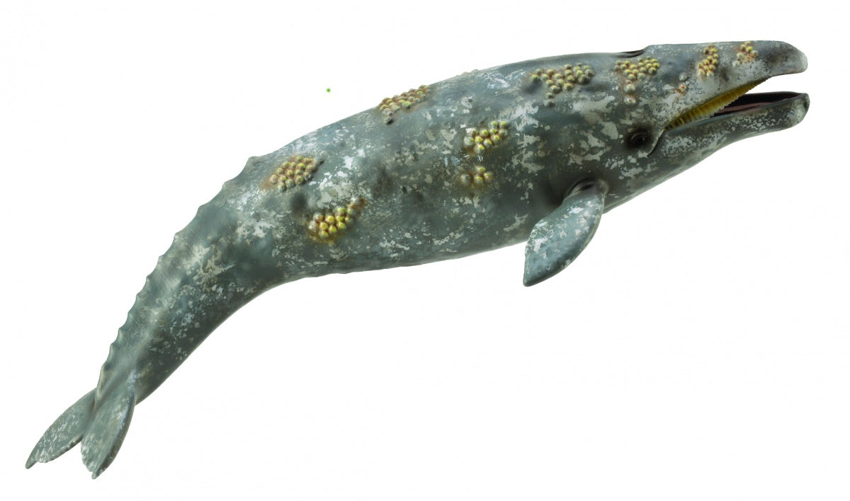 Collecta pływacz szary 88836 88361