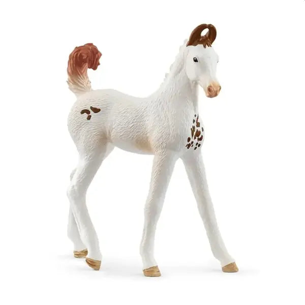 Horse Club - źrebak Marwari