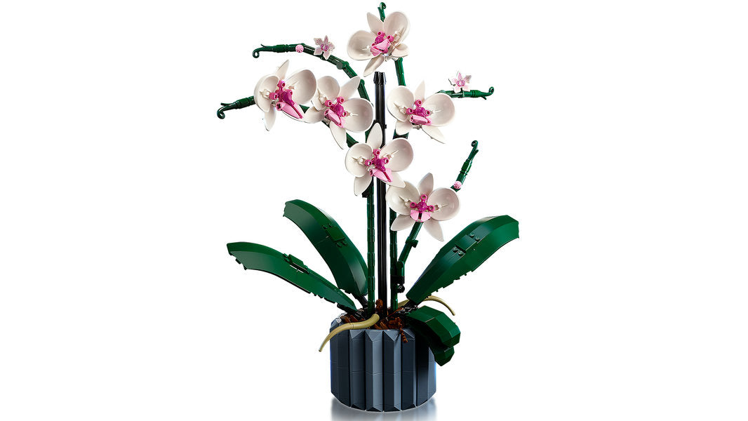 LEGO ICONS 18+ Orchidea 10311