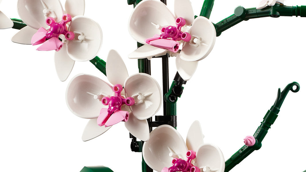 LEGO ICONS 18+ Orchidea 10311