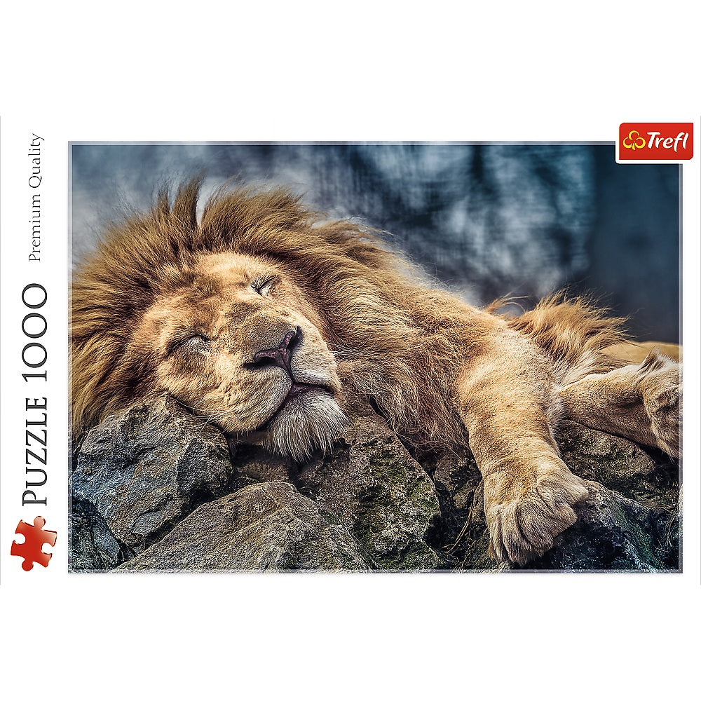 PUZZLE 1000 Śpiący lew 10447
