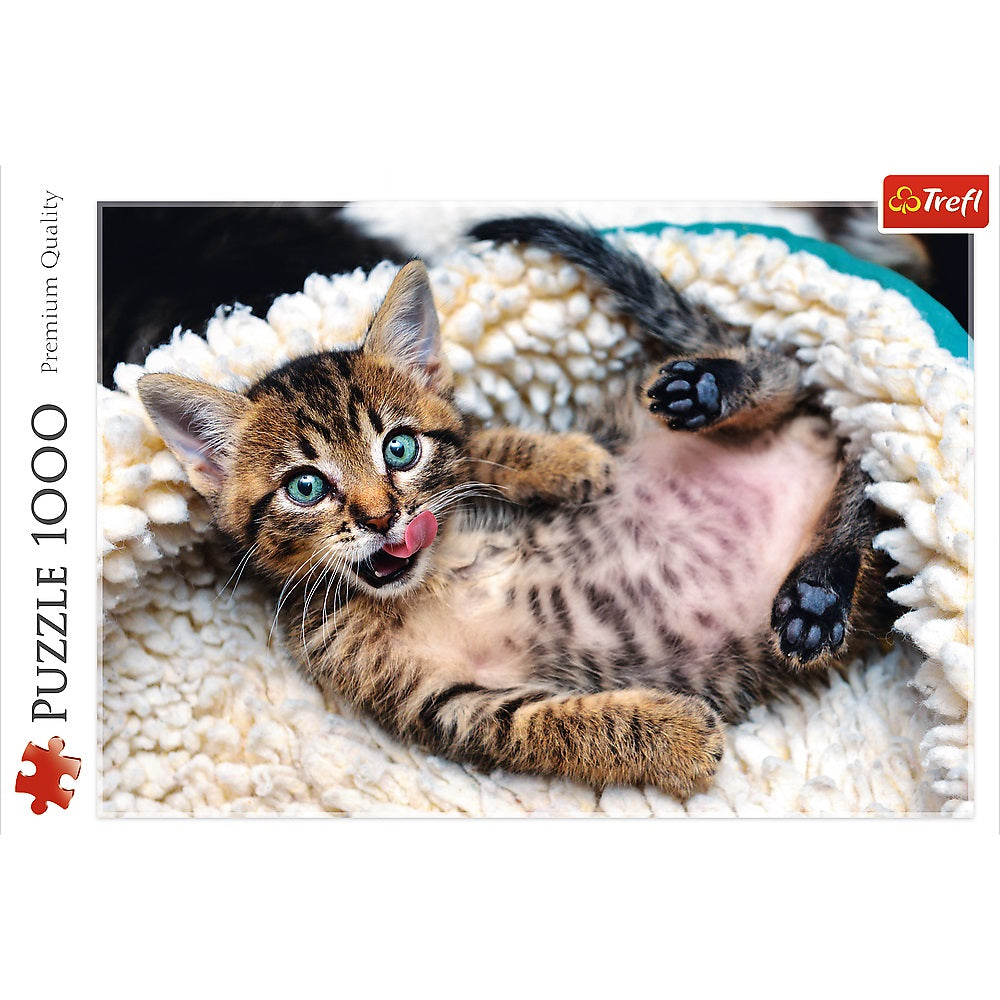 PUZZLE 1000 Wesoły kotek 10448
