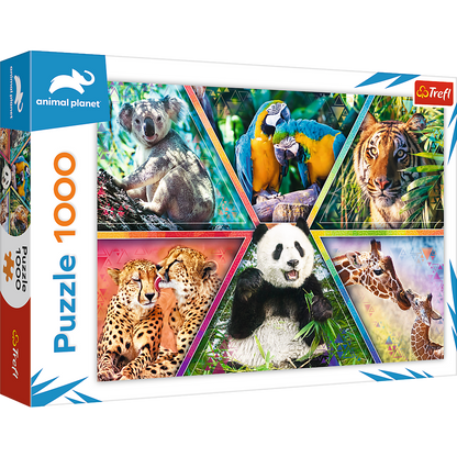 Puzzle 1000 królestwo zwierząt