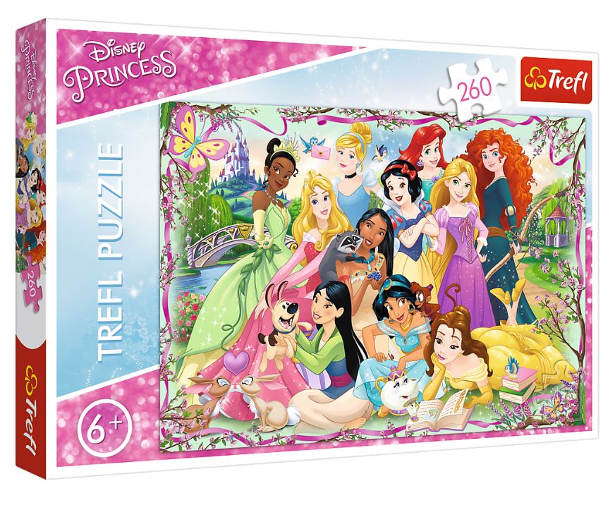PUZZLE 260 Spotkanie Księżniczek /D.Princess 13242