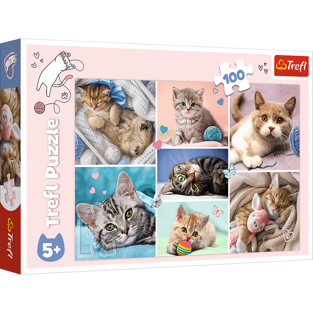 Puzzle 100 w kocim świecie