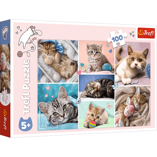 Puzzle 100 w kocim świecie