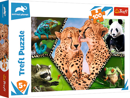 PUZZLE 100 Piękno natury /Discovery 16424