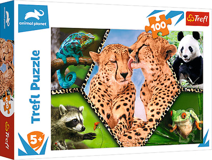 PUZZLE 100 Piękno natury /Discovery 16424