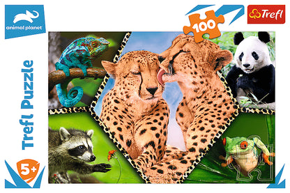 PUZZLE 100 Piękno natury /Discovery 16424