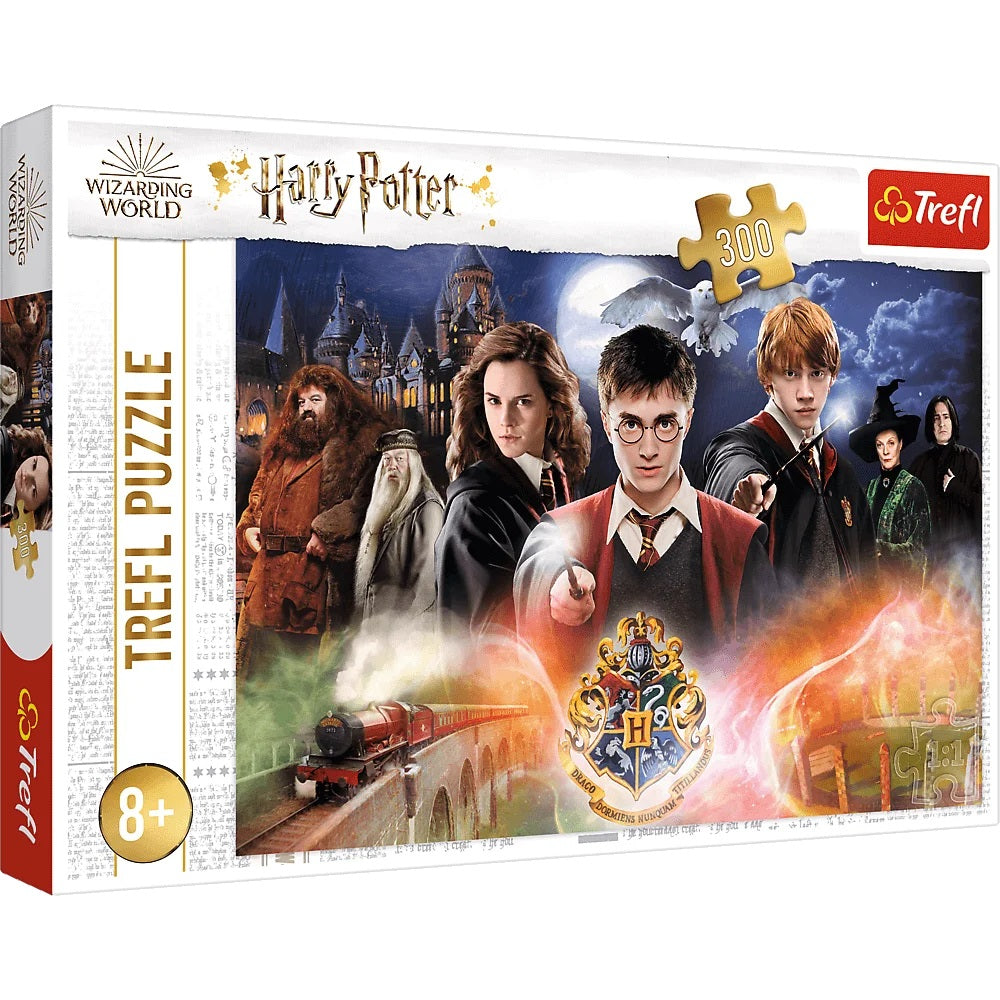 Puzzle 300 tajemniczy harry potter/warner