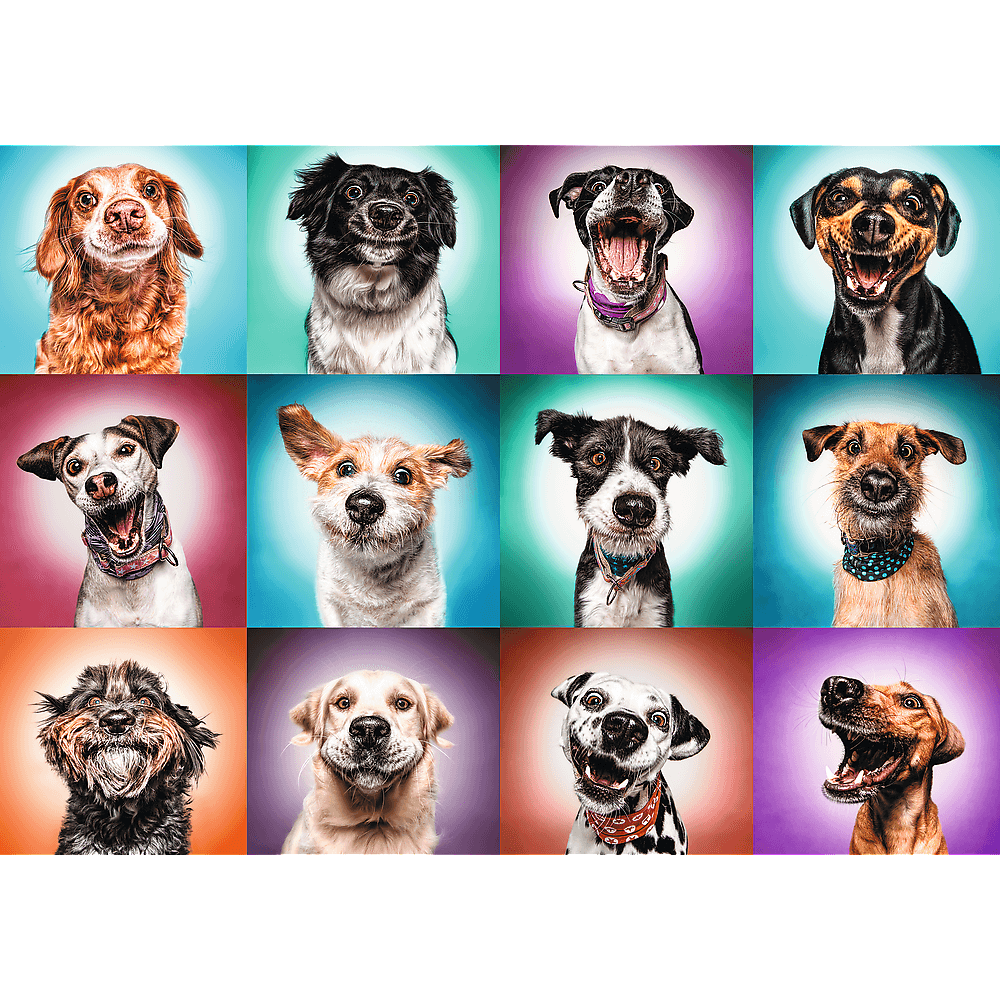 PUZZLE 2000 Zabawne psie portrety 27119