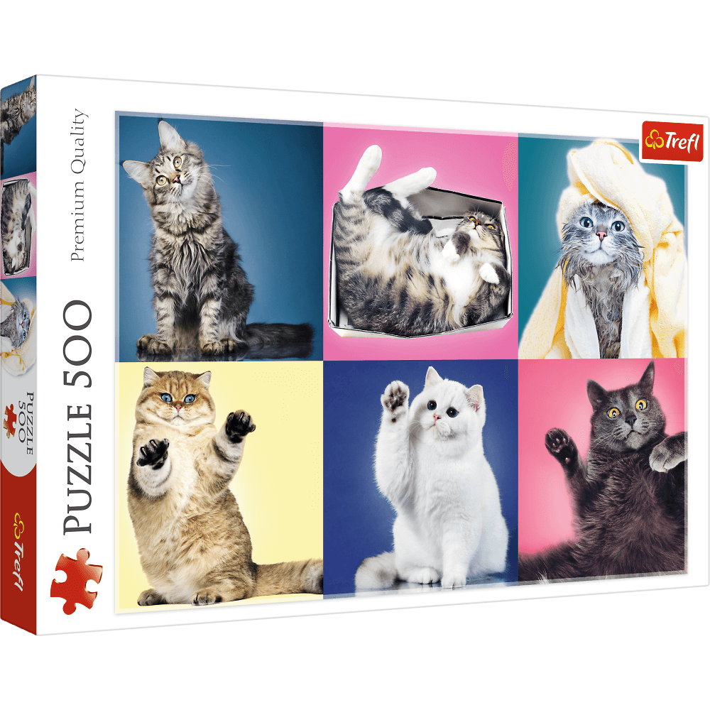 PUZZLE 500 Kociaki 37377