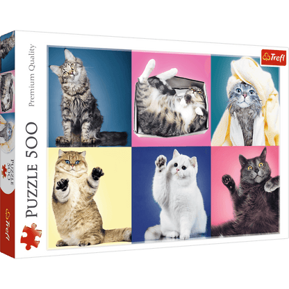 PUZZLE 500 Kociaki 37377