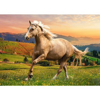 PUZZLE 500 Galop w popołudniowym słońcu 37396