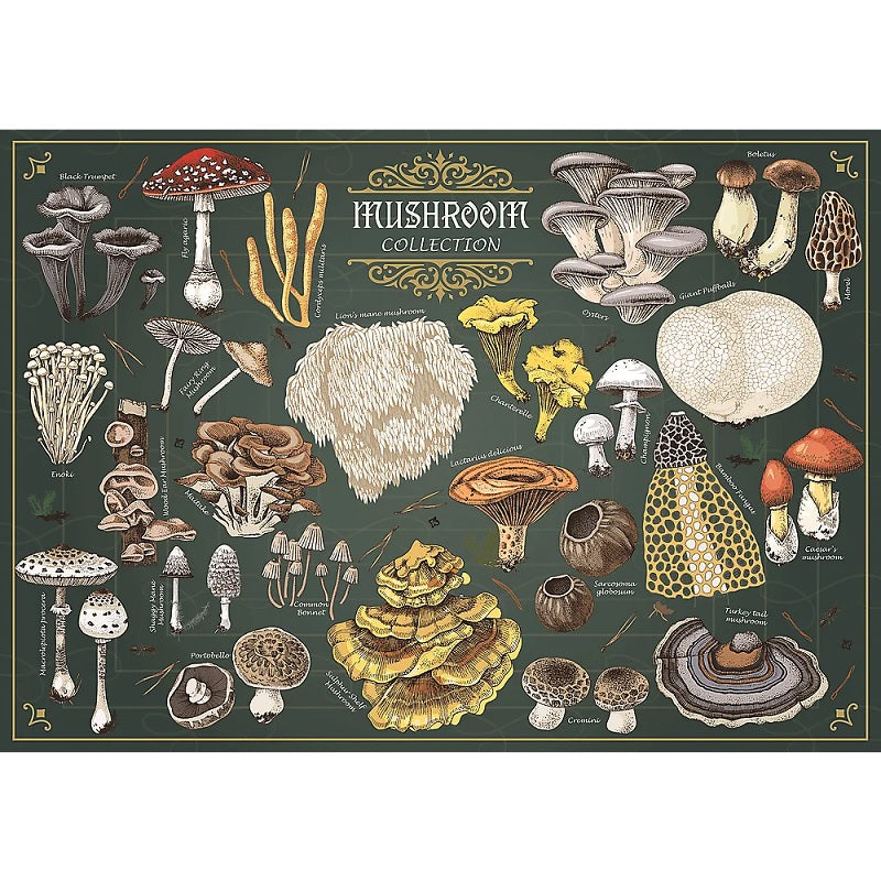 PUZZLE 500 PremPlus FindersKeepers Grzyb 37608