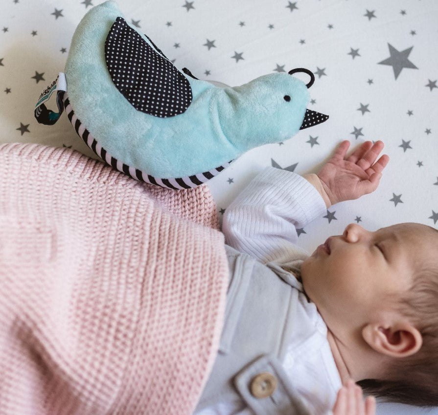 Whisbear ptaszek szumiący miętowy 95949