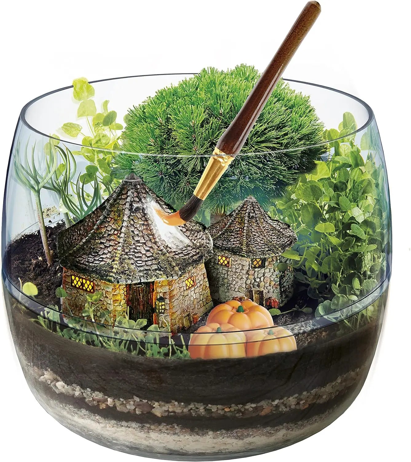 Harry potter terrarium